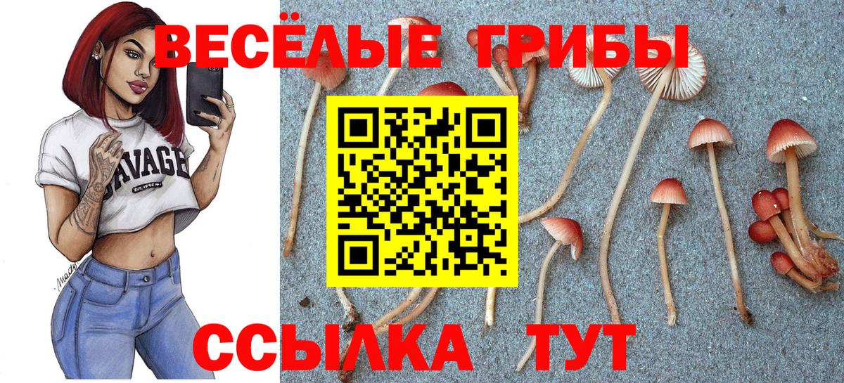 Калач-на-Дону  Галлюциногенные грибы Magic Shrooms  Вход с VPN 